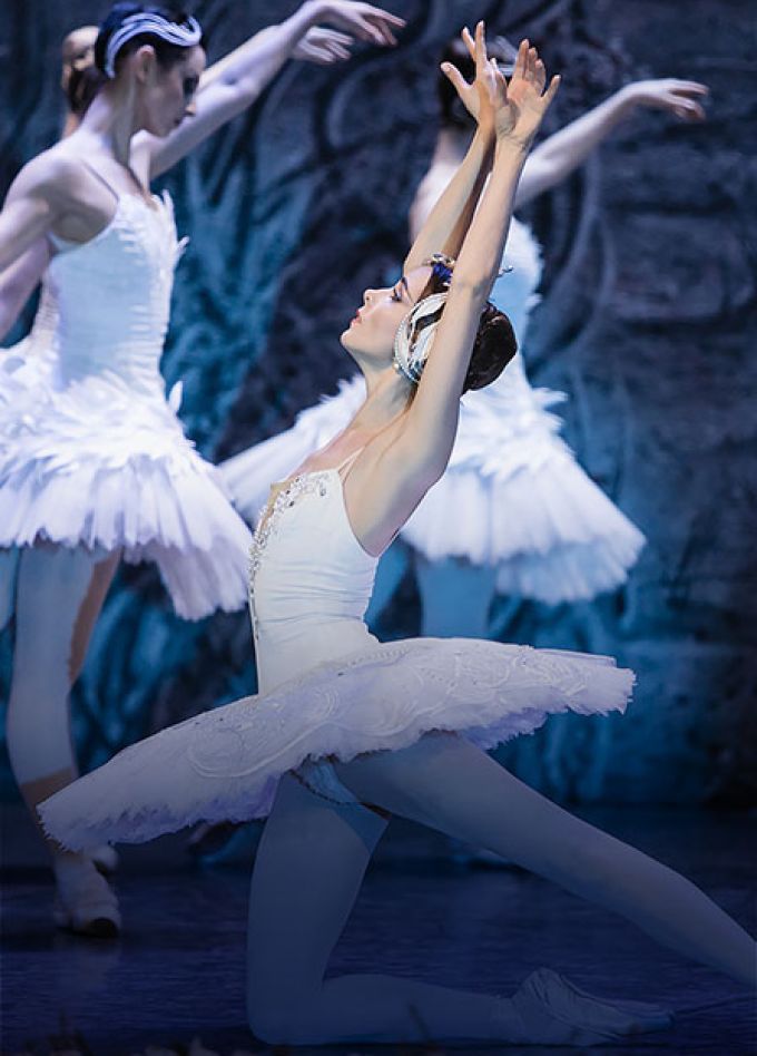 Лебединое озеро